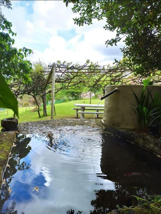 A Vina De Lina. Turismo Rural Con Piscina Y Finca. Pontevedra Esterno foto
